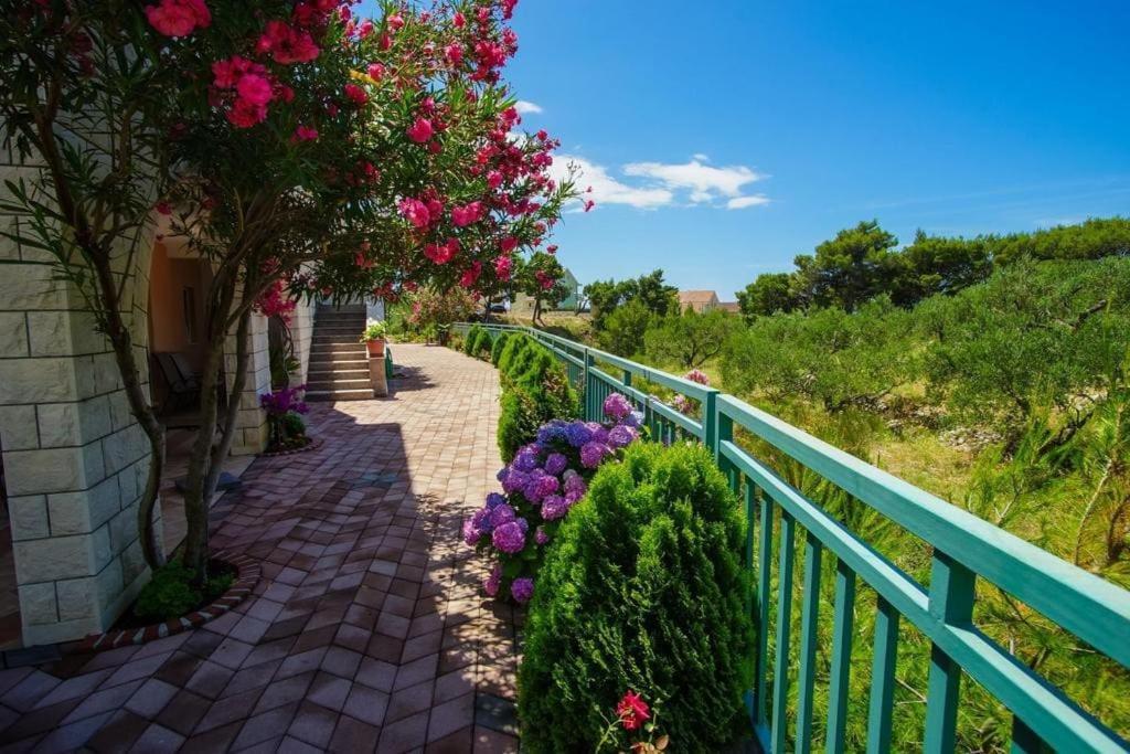 Villa Mara פרומאינה מראה חיצוני תמונה